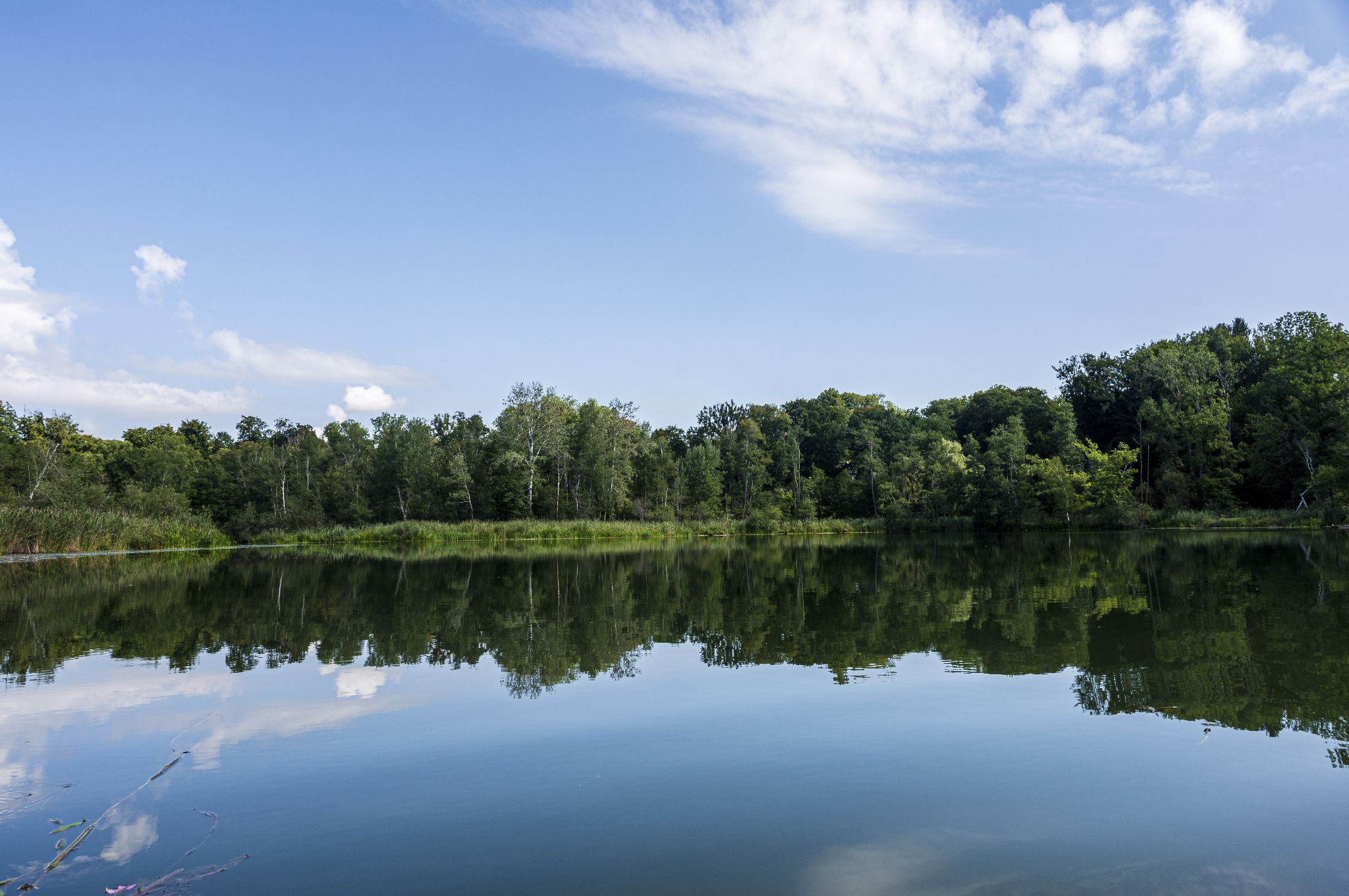 Kajaktour Leutstettner Moos 21.08.2022